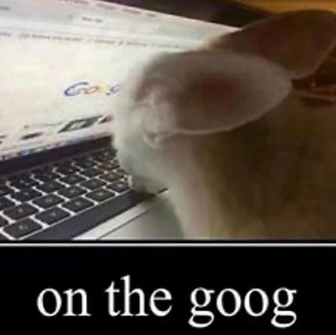 on the goog